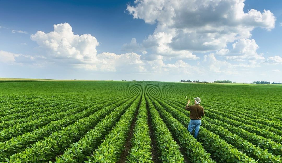 我國磷資源產(chǎn)業(yè)發(fā)展的問題與建議3.jpg 我國磷資源產(chǎn)業(yè)發(fā)展的問題與建議3.jpg